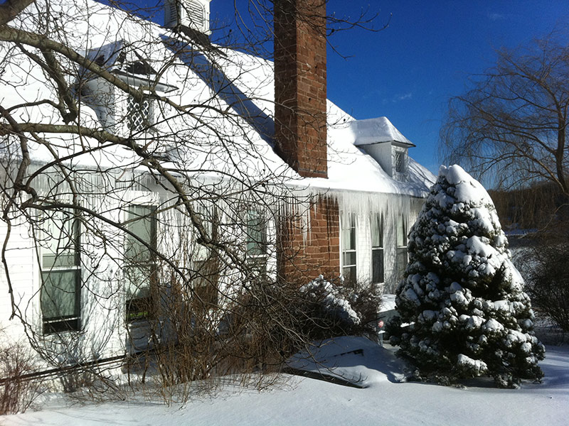 6_Jones-in-snow_4Feb2014