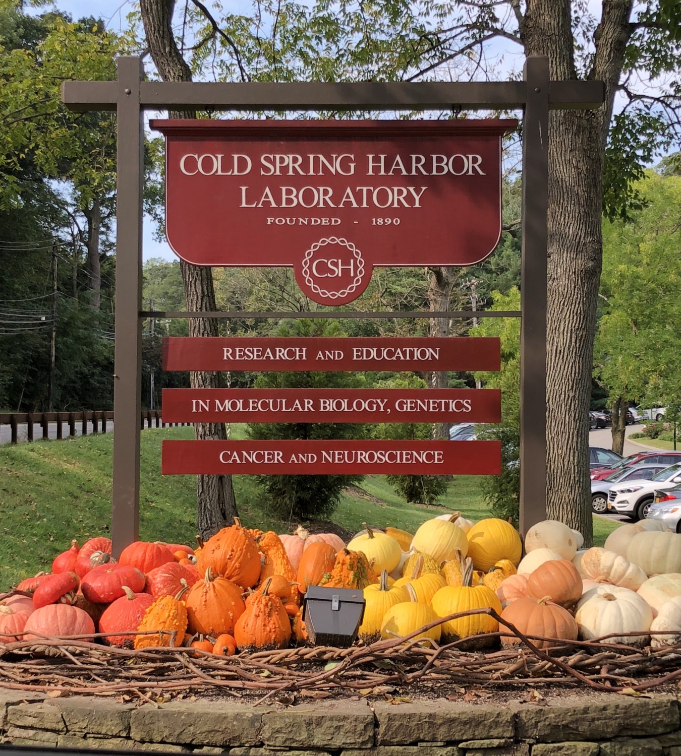 CSHL Fall